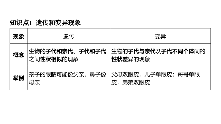 1.5遗传与进化（课件 29张PPT 学案)