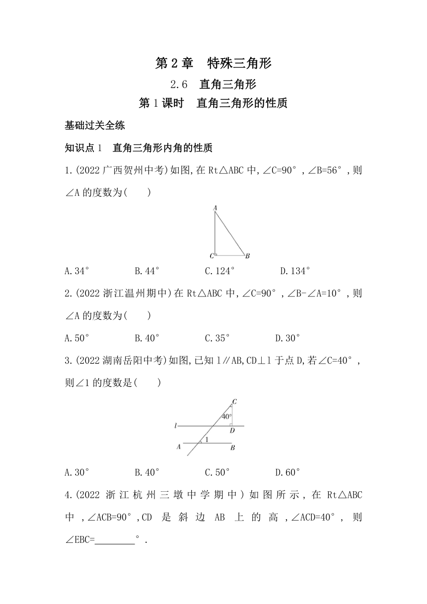 浙教版数学八年级上册2.6.1直角三角形的性质素养提升练（含解析）