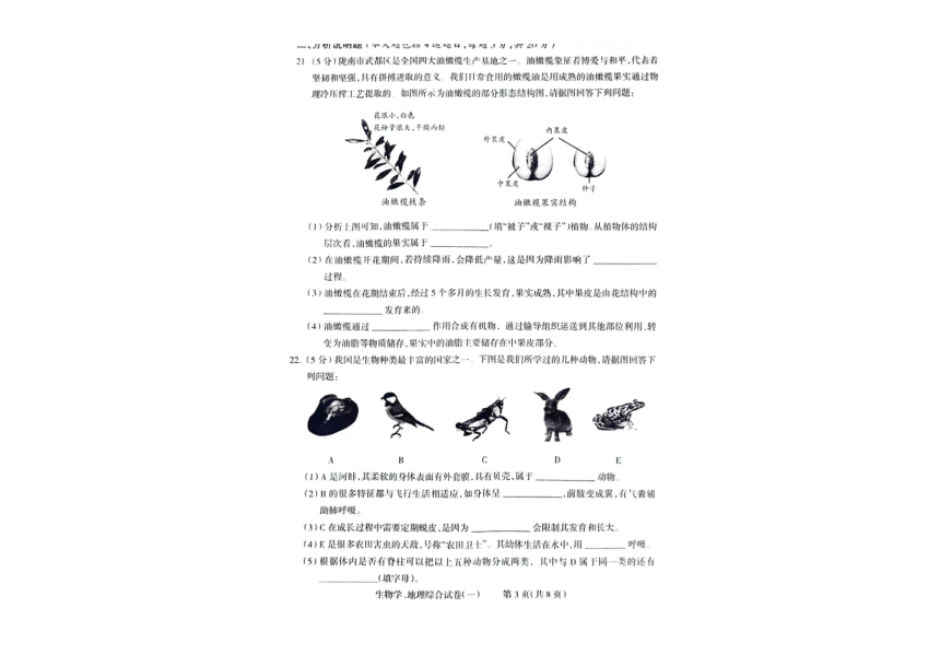 甘肃省陇南市西和县2024年中考模拟联考卷生物、地理综合试卷（pdf版无答案）