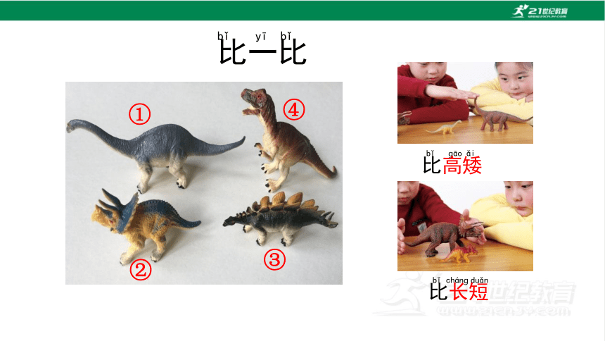 2.1 在观察中比较 课件（47张PPT）