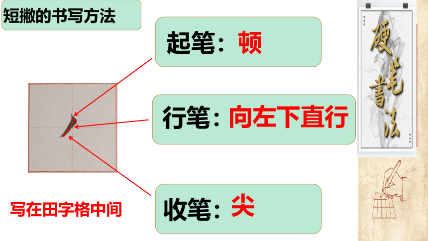 深圳市学校一年级书法第6课《短撇、长撇的写法》课件