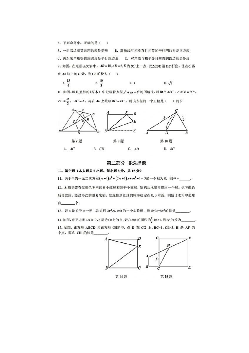 广东省深圳市罗湖实验学校（笋岗中学）2023-2024学年第一学期10月学业水平评估九年级数学试卷（图片版，无答案）