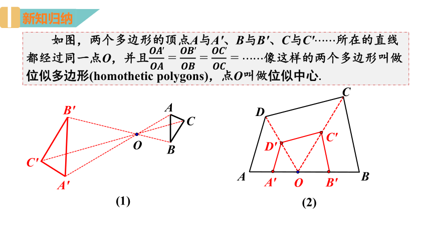 6.6 图形的位似 课件(共35张PPT)九年级数学下册（苏科版）