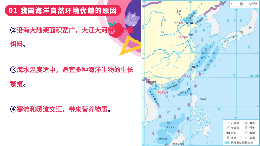 3.4 中国的海洋资源（课件）-2023-2024学年八年级地理上册同步学与练（湘教版）(共40张PPT)