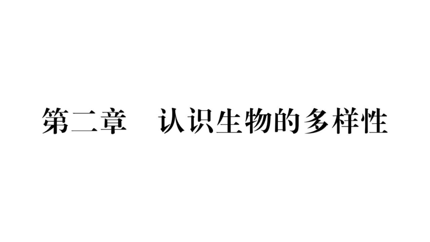 6.2认识生物的多样性习题课件(共23张PPT)