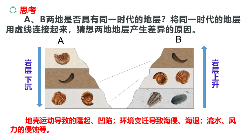 1.3 地球的历史 课件 2023-2024学年高一地理人教版（2019）必修第一册(共47张PPT)