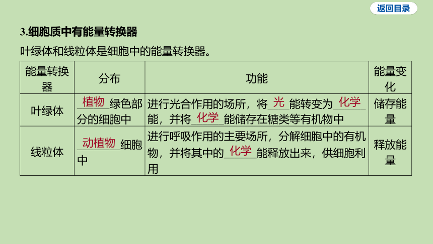 2.2.1细胞的生活习题课件(共18张PPT)2023-2024学年六年级生物鲁科版（五四学制）