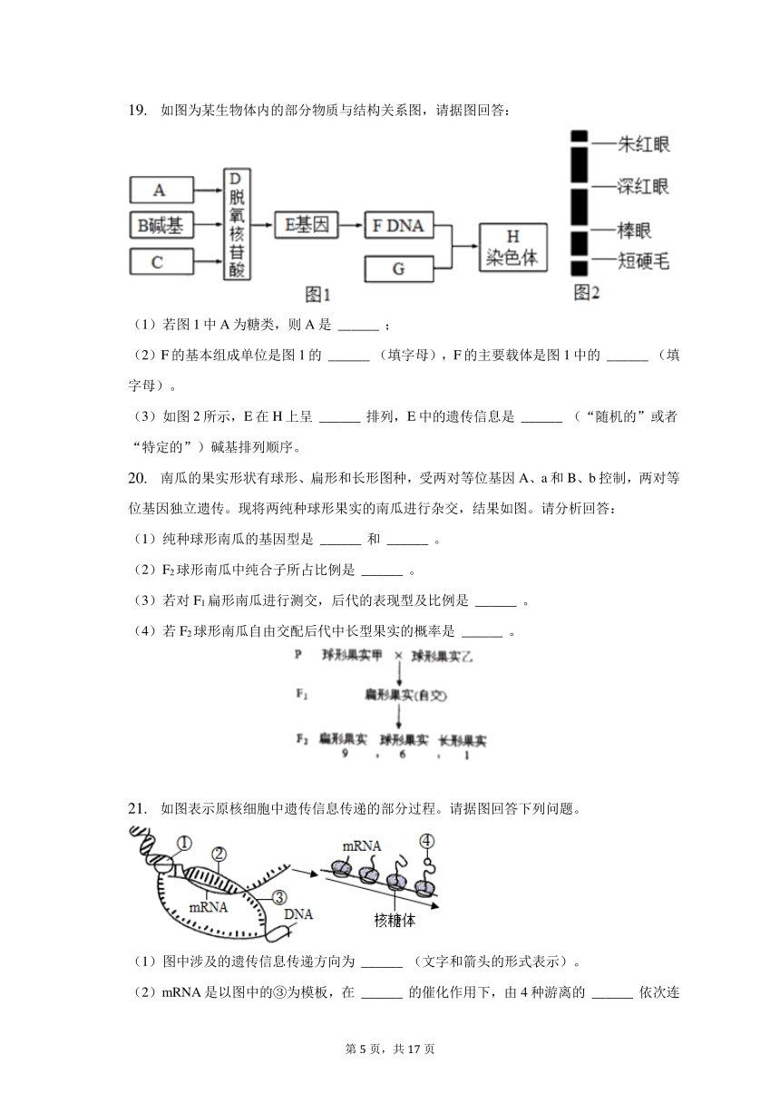 2022-2023学年河北省石家庄市元氏县音体美学校高一（下）期末生物试卷（含解析）