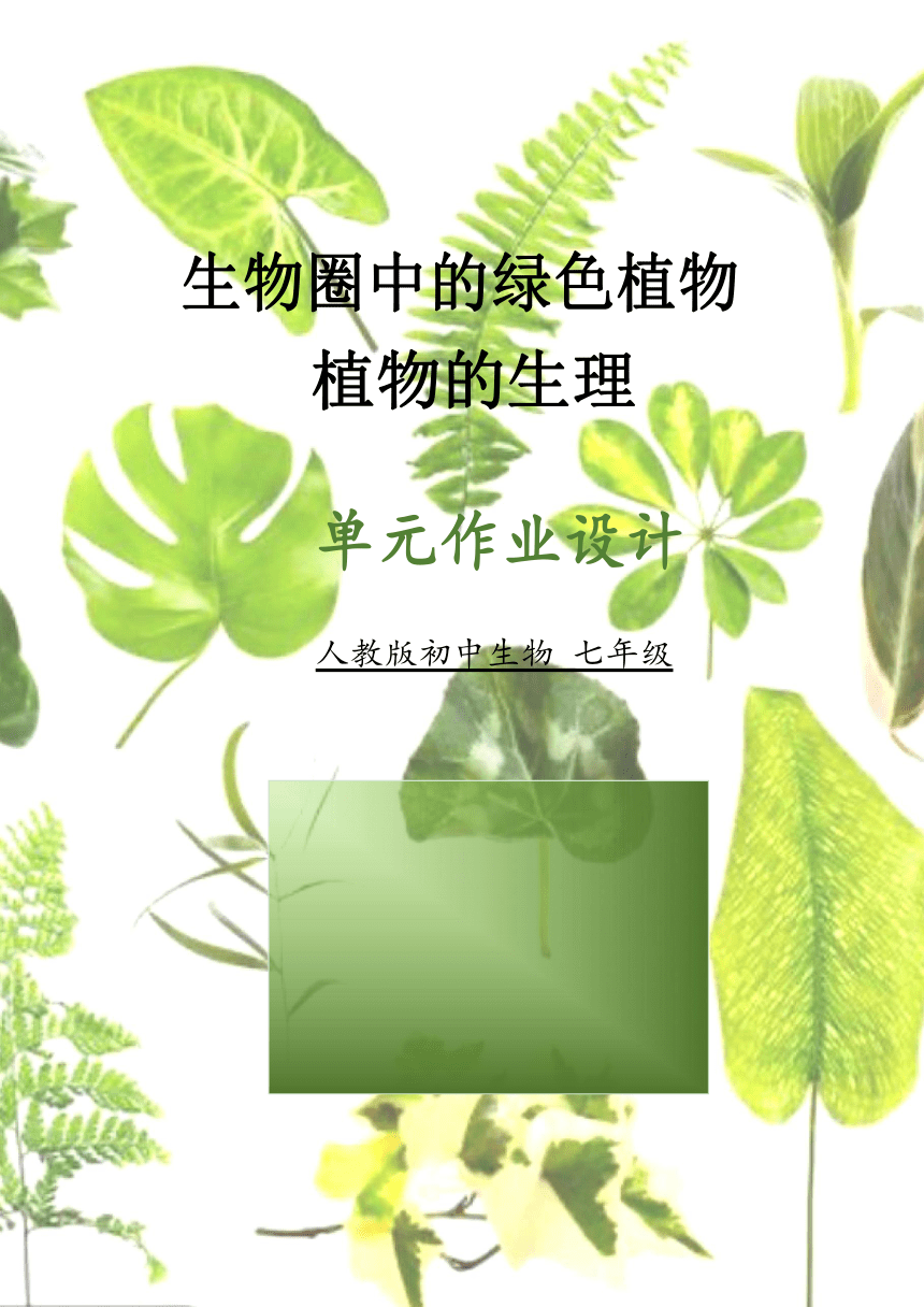 第三单元生物圈中的绿色植物作业设计 （含答案）人教版生物七年级上册