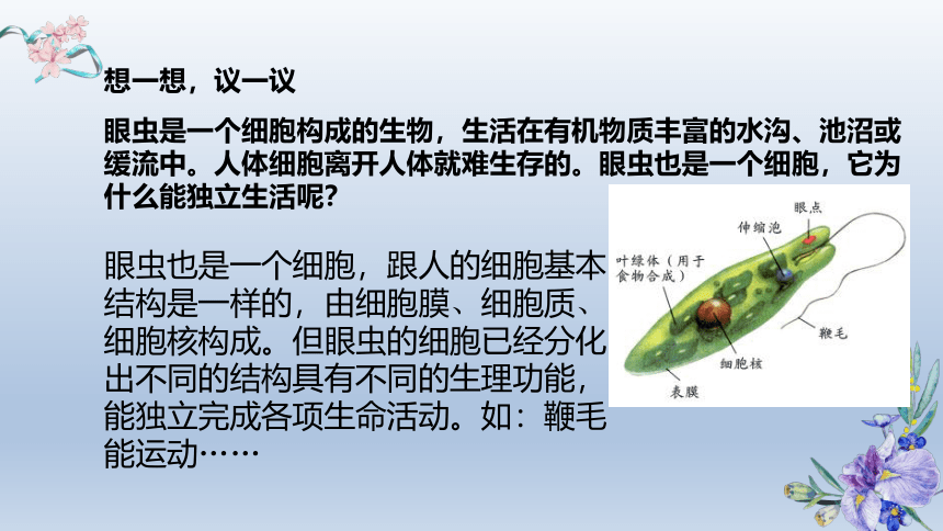 2.2.4单细胞生物课件(共19张PPT)