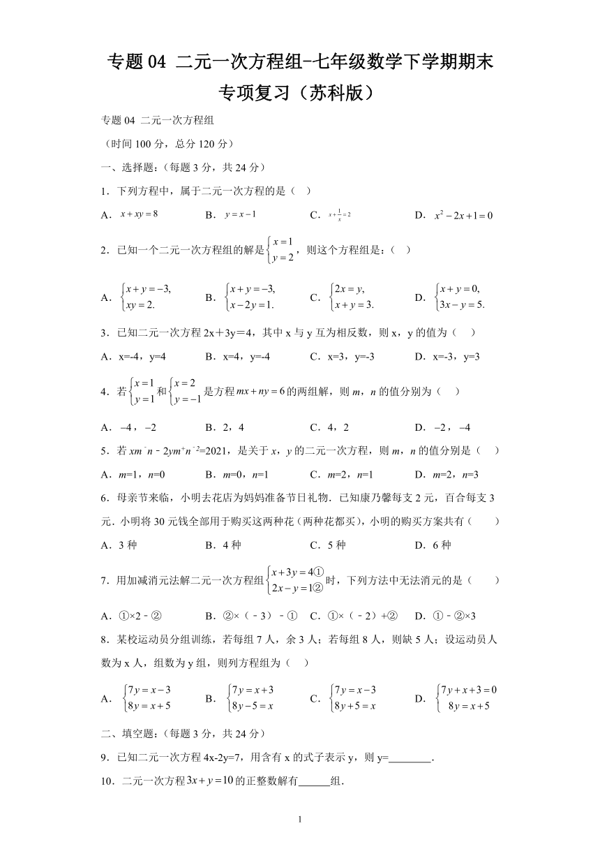 苏科版七年级数学下学期期末专项复习 专题04二元一次方程组（含解析）