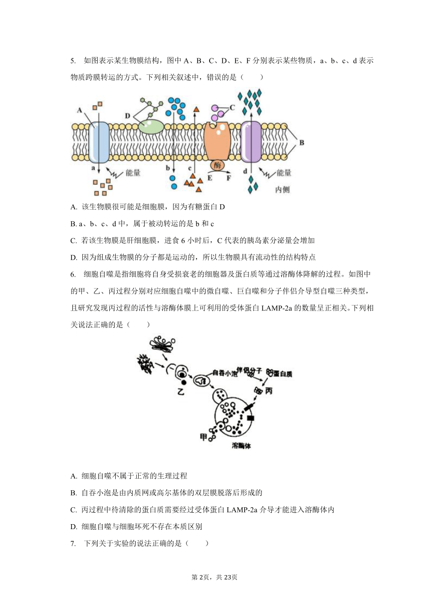 2023-2024学年江苏省徐州市部分学校高三（上）期初生物试卷（含解析）