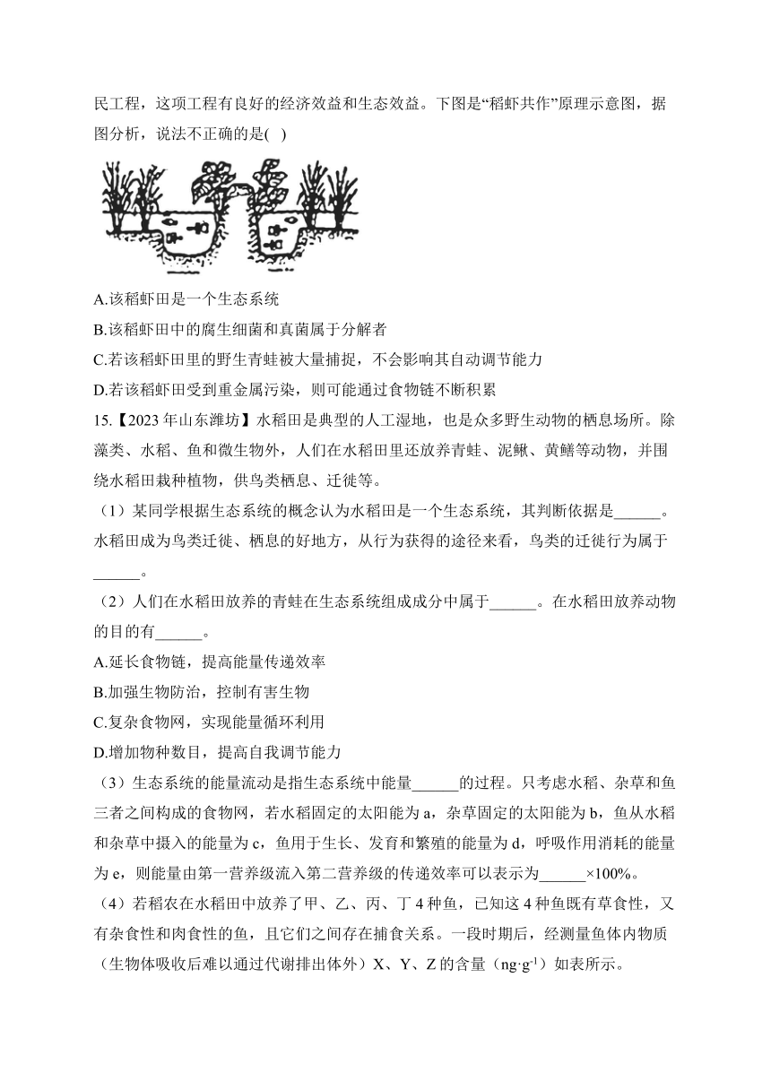 生物与环境——2023年中考生物真题专项汇编（含答案）