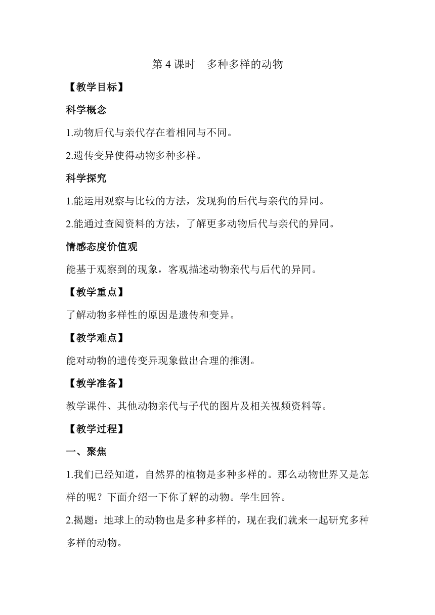 教科版（2017秋）六年级科学下册2.4多种多样的动物教案