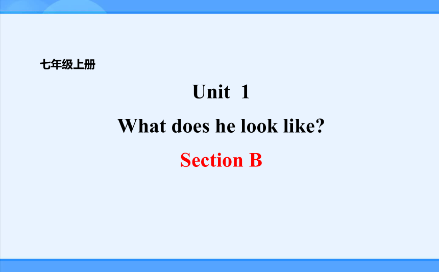 Unit 1  What does he look like? Section B课件1 鲁教版（五四学制）英语七年级上册(共17张PPT)