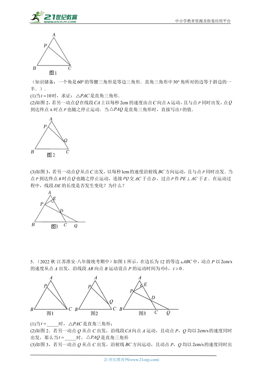 第2章特殊三角形专题05 等腰三角形、直角三角形中的分类讨论问题专训（解析版）