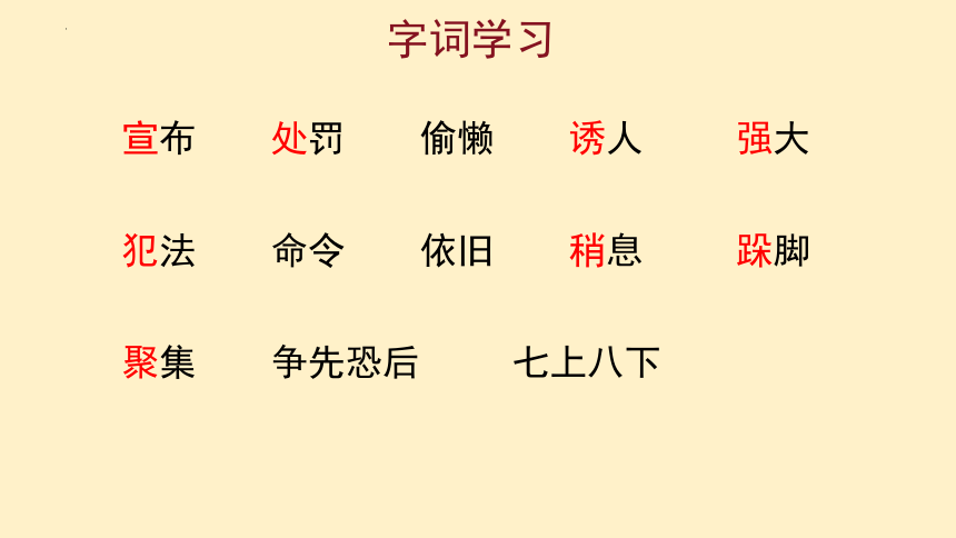 11.《 一块奶酪》课件(共20张PPT)