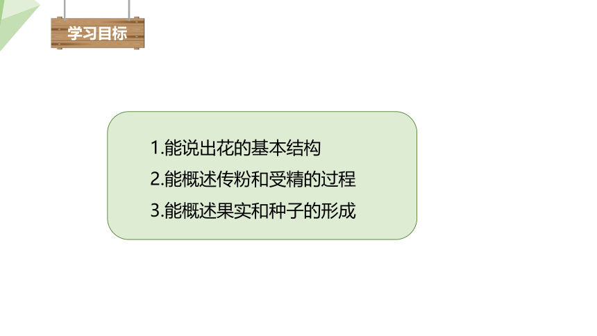 3.2.3 开花和结果 课件(共20张PPT+内嵌视频1个) 2023-2024学年初中生物人教版七年级上册