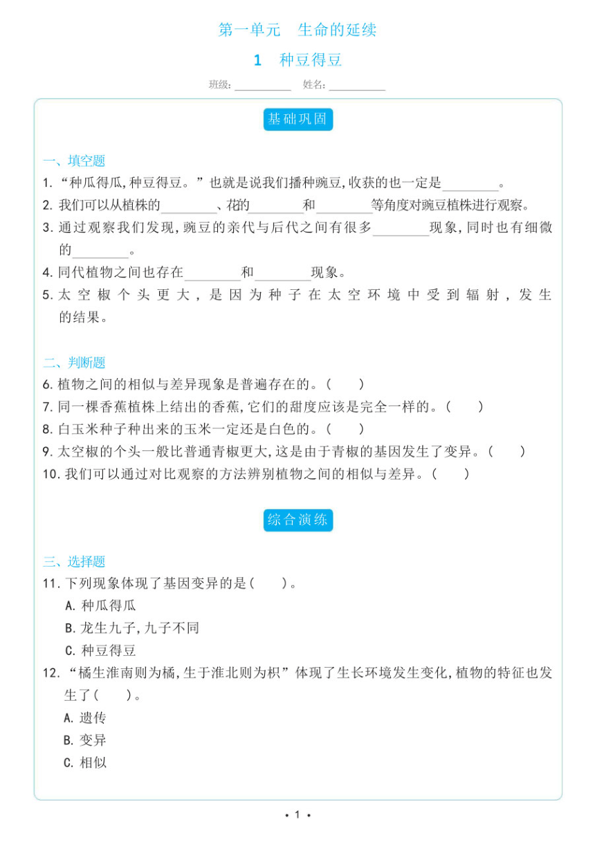 冀人版六年级科学上册同步练习全册（含答案）