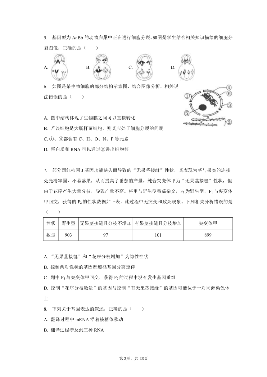 2023-2024学年河北省张家口市新时代NT教育高三（上）开学生物试卷（含解析）