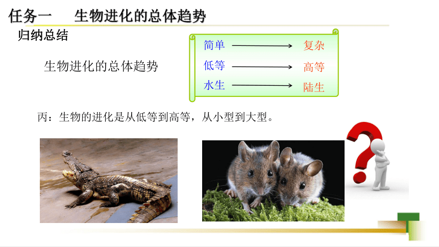 5.1.3生物进化的历程课件(共22张PPT) 济南版八年级生物下册