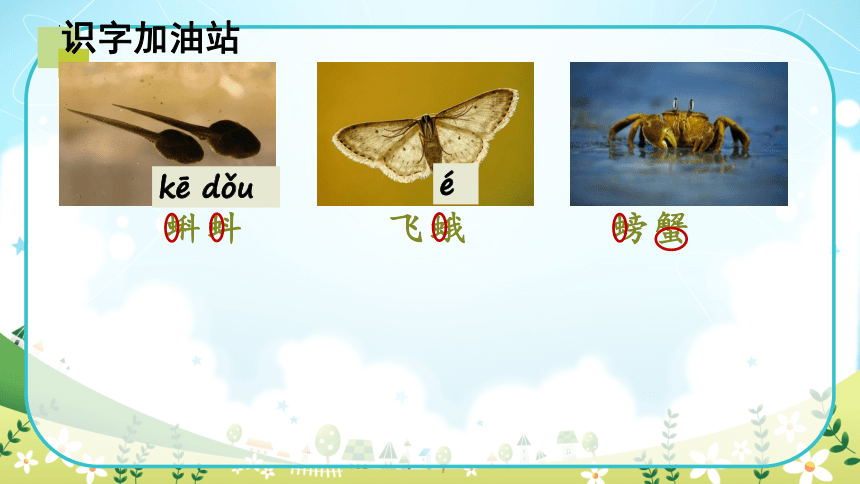 小学语文三年级上册 语文园地六 第二课时 课件(共27张PPT)