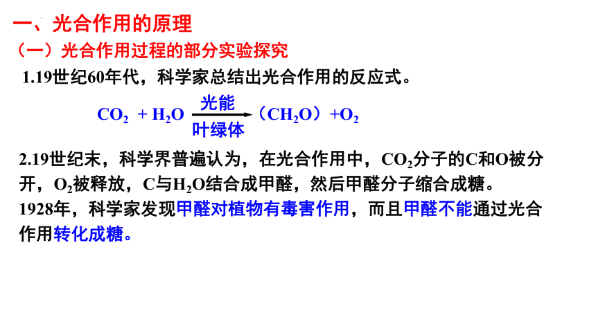 5.4 光合作用与能量转化(共36张PPT)（第二课时）高一生物课件（2019人教版必修1）