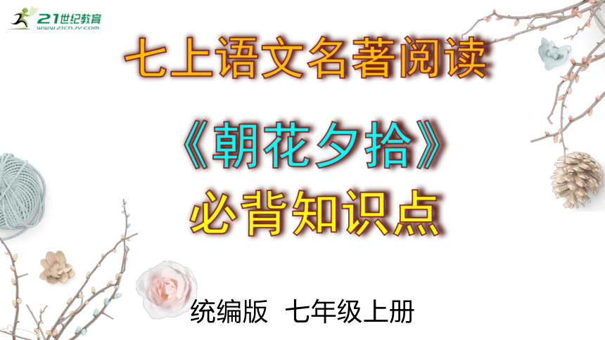 七年级上册 第三单元名著阅读《朝花夕拾》必背知识点 课件(共12张PPT)