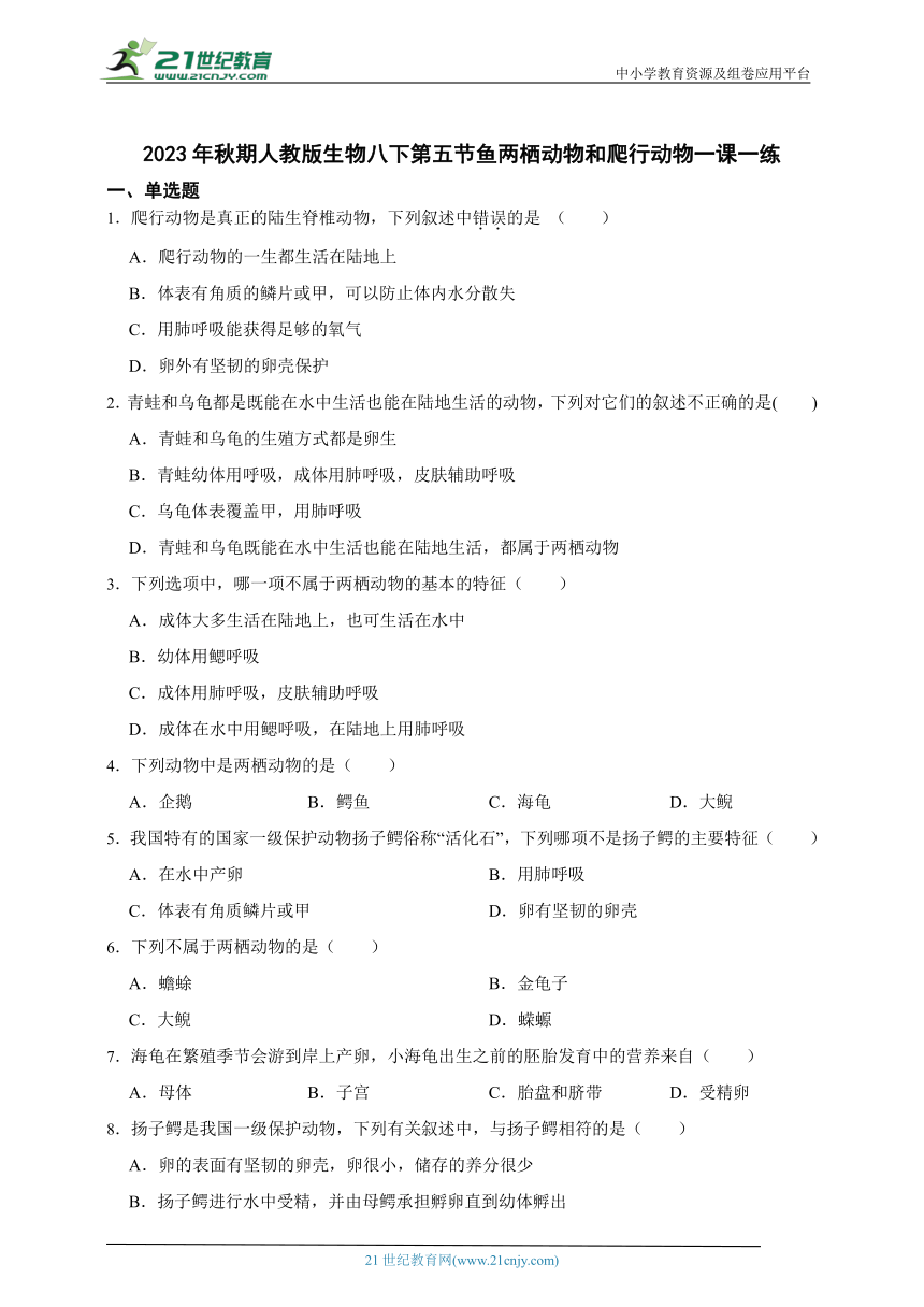 2023年秋期人教版生物八上5.1.5鱼两栖动物和爬行动物一课一练（含解析）