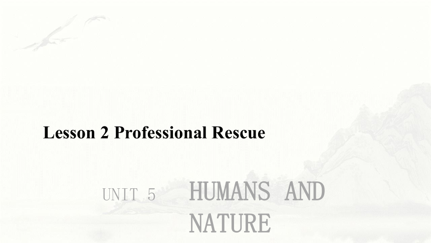北师大版（2019）必修 第二册Unit 5 Humans and nature Lesson 2 Professional Rescue Team课件(共18张PPT)