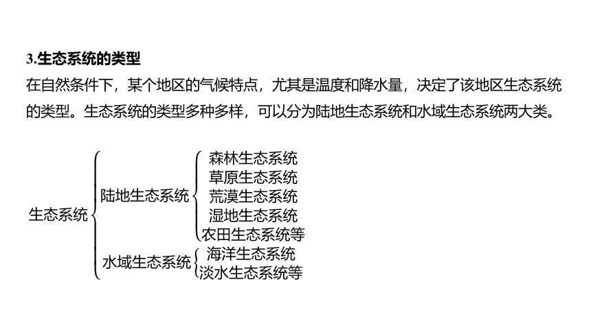 2.4 生态系统的结构和功能（课件 33张PPT)