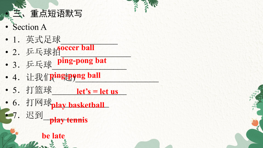 Unit 5 Do you have a soccer ball?  重点单词短语句型练习课件(共10张PPT)