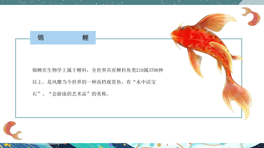 美术社团课程《荷塘里的锦鲤 》小学延时服务 课件 (21张PPT)