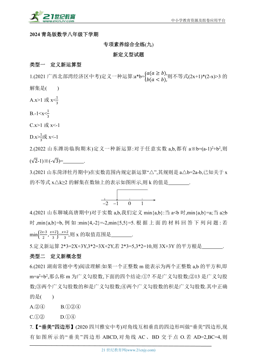 2024青岛版数学八年级下学期--专项素养综合全练（九）新定义型试题（含解析）