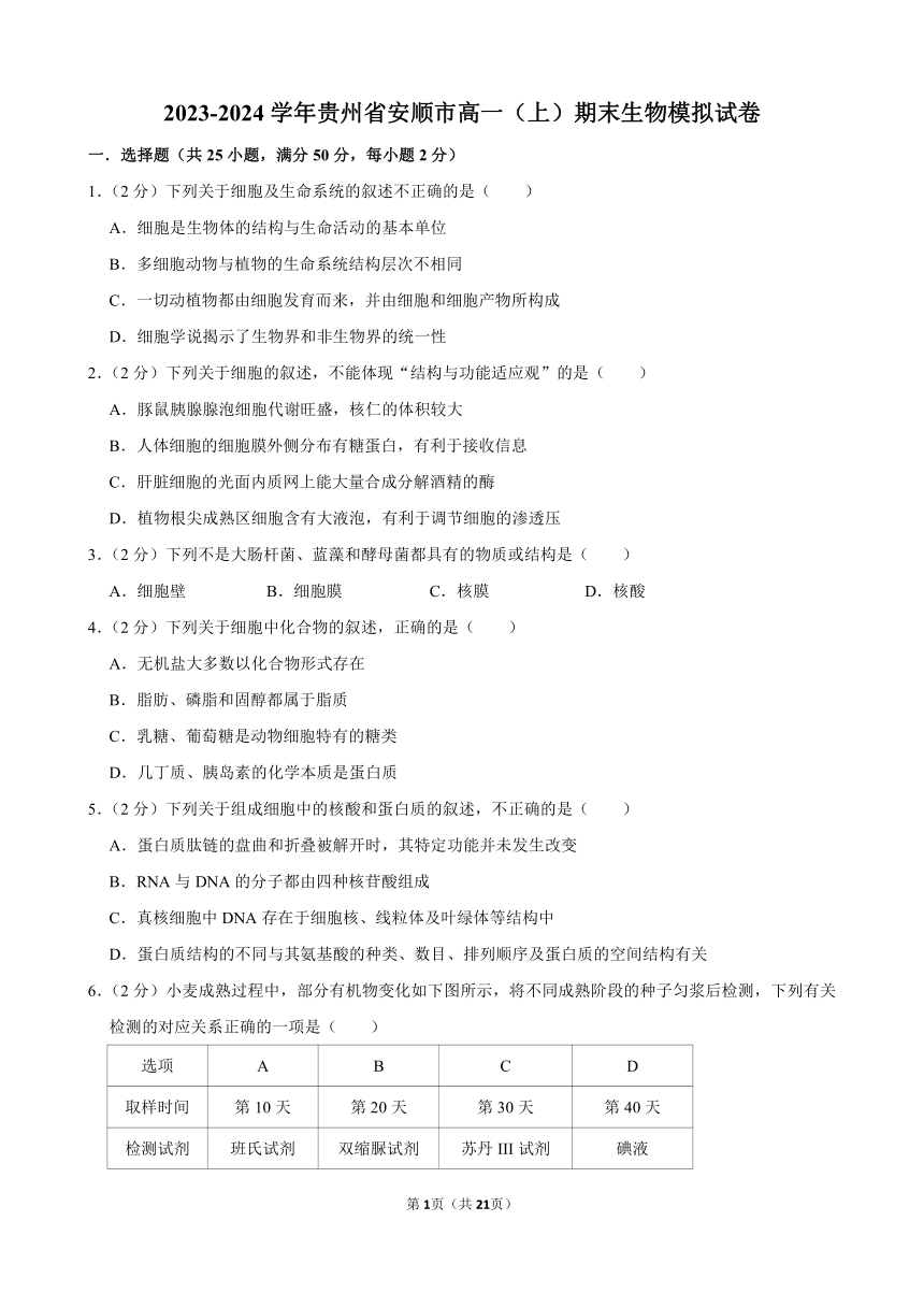 2023-2024学年贵州省安顺市高一（上）期末生物模拟试卷（含解析）