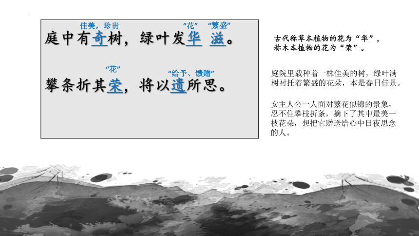 2023-2024学年统编版语文八年级上册第三单元课外古诗词诵读《庭中有奇树》课件（共14张ppt）