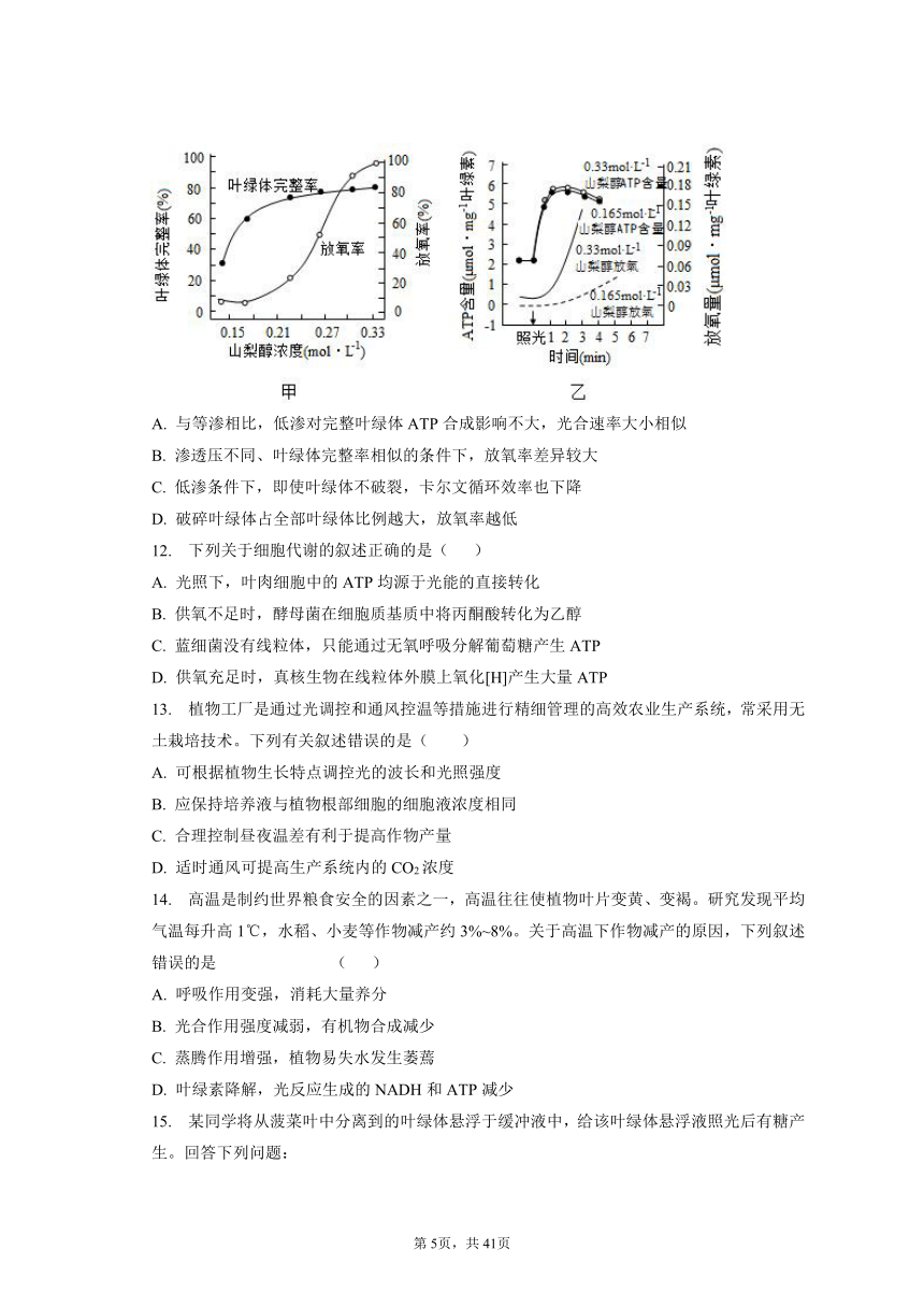 【真题分类汇编】考点05：光合作用（有解析）--2019-2023年高中生物真题分类汇编专题练习