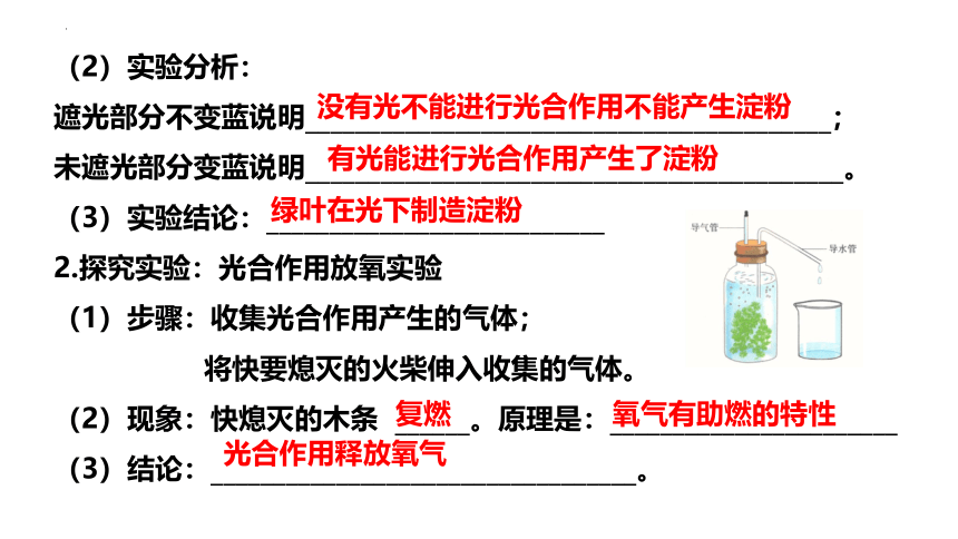 第三单元第三、四、五章章末复习-八年级生物上册同步精品课堂(冀少版)(共41张PPT)