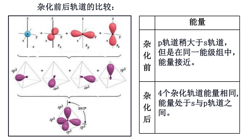 2.2.1 杂化轨道理论(共25张PPT)-2023-2024学年高二化学鲁科版选择性必修第二册课件