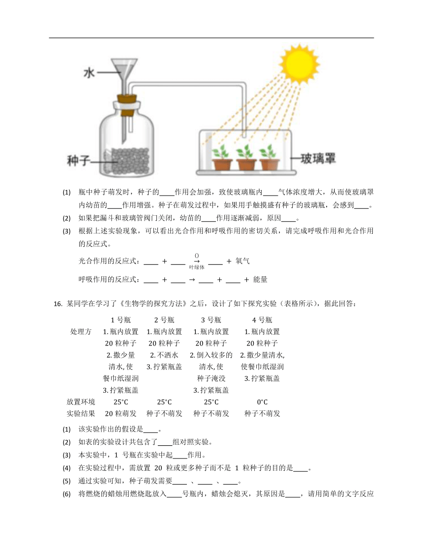 北师大版七年级下4.10.1食物中能量的释放练习（含解析）