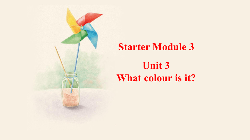 Starter Module 3 Unit 3 What colour is it  课件 (共19张PPT)2023-2024学年外研版英语七年级上册