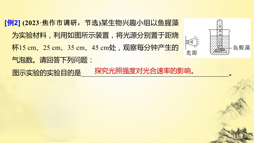 高考生物总复习微专题2 实验专题讲座(课件共38张PPT)