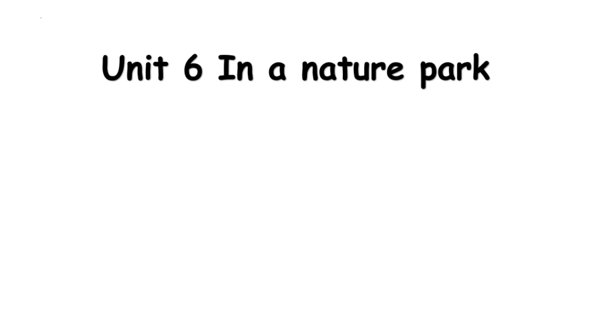 Unit 6 In a nature park  Part A  Let’s talk 课件(共17张PPT)