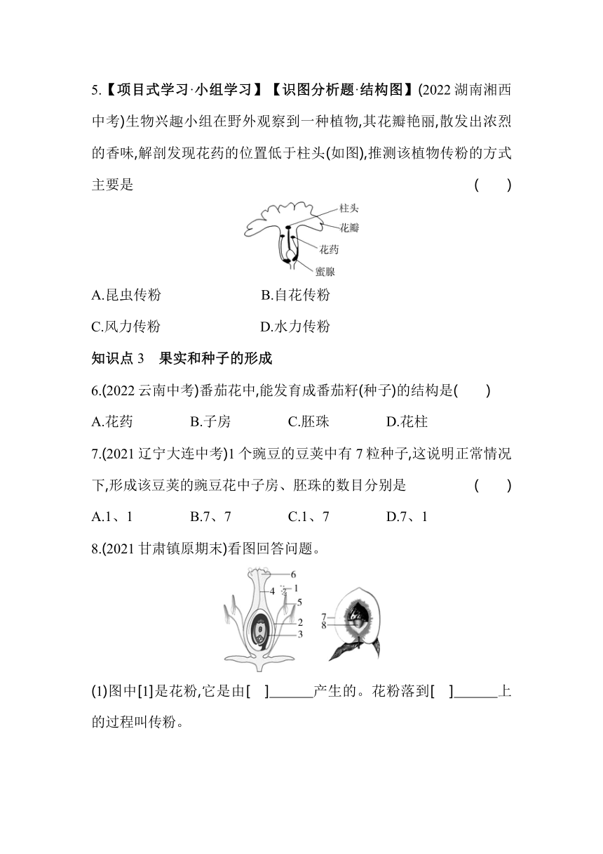 3.2.3开花和结果素养提升练（含解析）人教版生物七年级上册