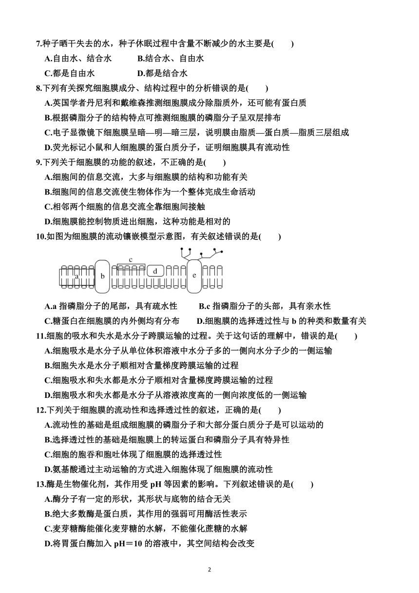 高中生物必修1（综合测试卷）（附解析）—2023-2024学年人教版(2019）生物高一上学期必修1