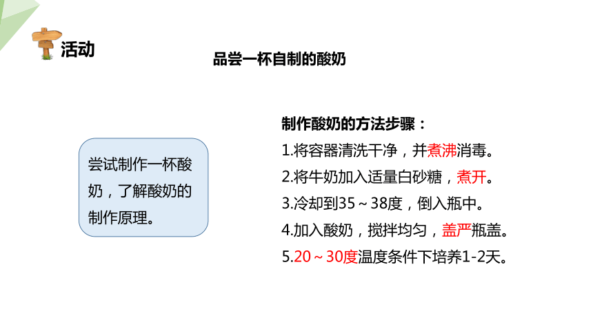 9.25.1 发酵技术 课件 (共24张PPT)2023-2024学年初中生物北师版八年级下册