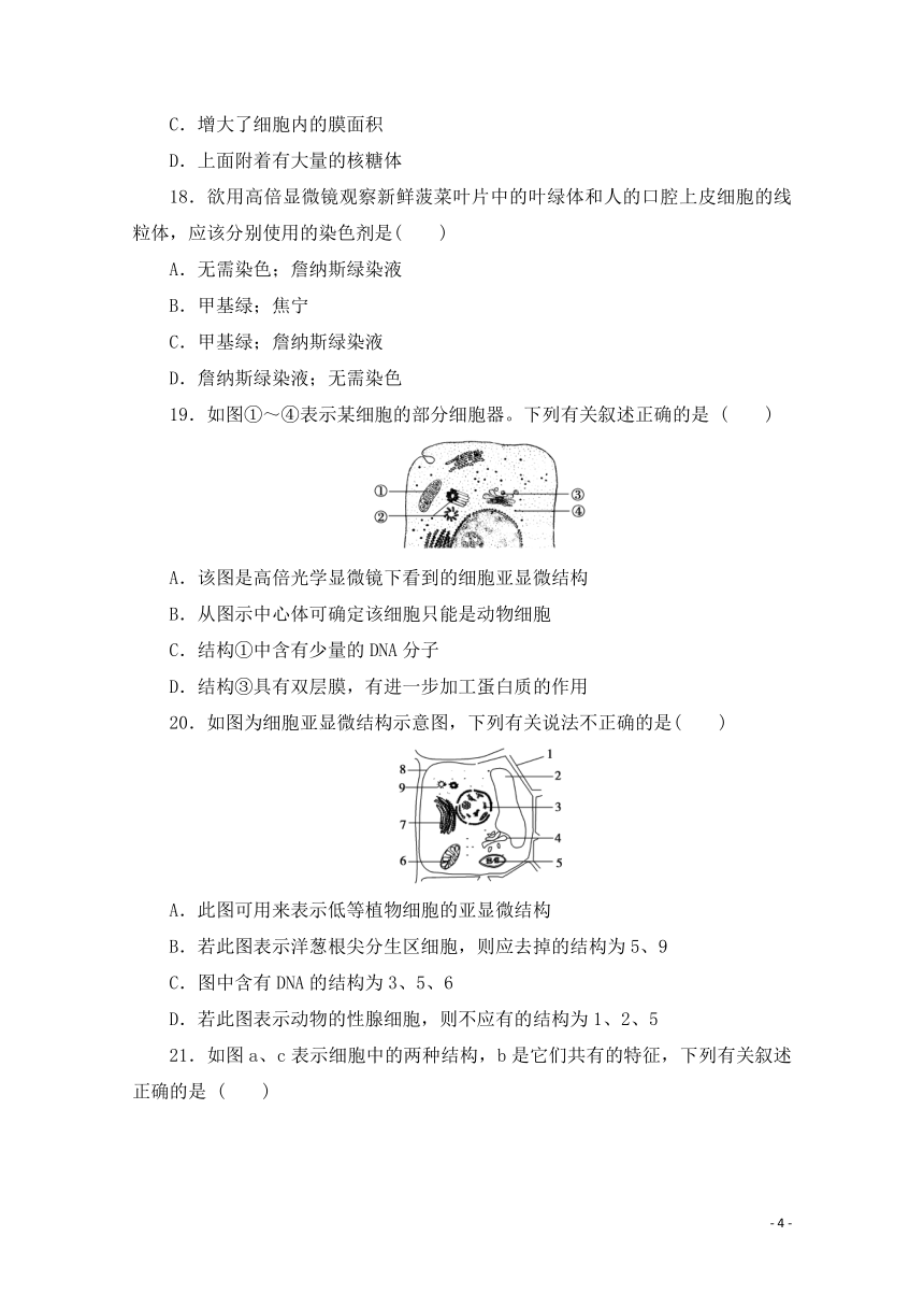 高中生物学北师大版必修一 第3章　第2节　细胞器与胞质溶胶 同步练习(有解析)