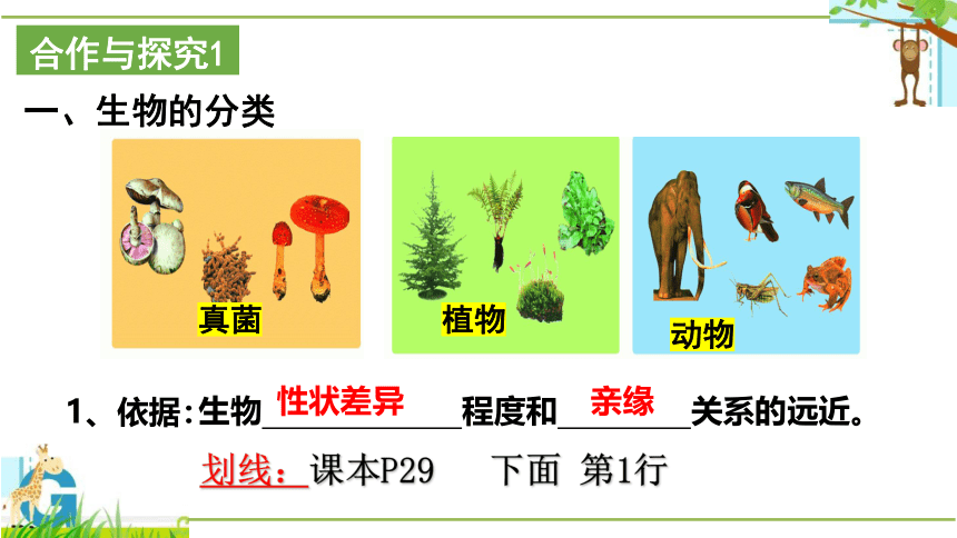 22.1 生物的分类 2023-2024学年八年级生物下册同步精品教学课件（北师大版）(共23张PPT)