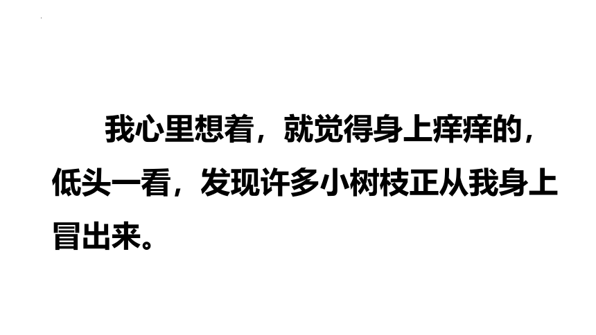 17.《我变成了一棵树》课件(共26张PPT)