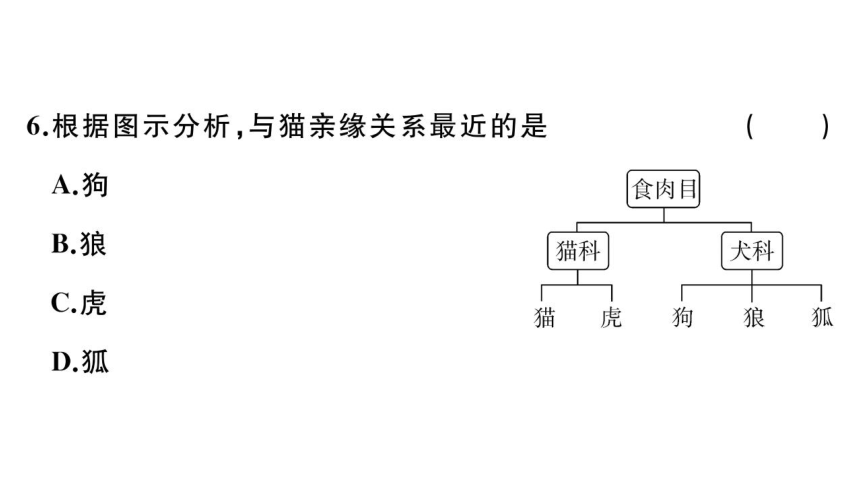 第六单元 第1~3章复习课件(共34张PPT)